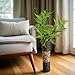 Hosley's Natural Cylinder Tall Floor Vase 20" High. Ideal Gift for Weddings,...