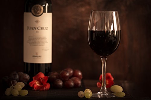 Elegant Plastic Wine Glasses By Savona | Unbreakable Wine Glasses | Ideal For Indoor/Outdoor Use | 100% Tritan Shatterproof Wine Glasses | Set Of 4) #TOP3