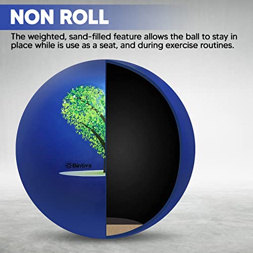 Bintiva Exercise Ball With Sand Inside - No Roll Yoga Fitness Balance Ball - Weighted Swiss Ball #TOP1
