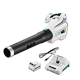 LiTHELi 40V 480CFM 92MPH Leaf Blower with Brushless Motor, 2.5AH Battery and Charger (Renewed)