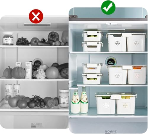 Image of Vasukie Divided Fridge Storage Boxes With 4 Serving Veggie Tray with Lid and Handle, Fridge Organizer with Removable 4 Compartment, Fridge Storage Containers (4 Large Compartment-1PC)