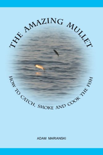 Télécharger The Amazing Mullet How To Catch, Smoke And Cook The Fish (English Edition) Livre eBook France