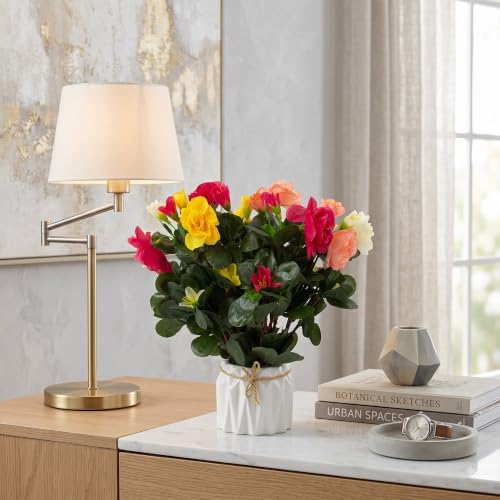 Image of Dekorly Artificial Lavender Plant in White Pot, 18cm - Realistic Faux Flower Arrangement for Home & Office Decor (Set of 1) (1, Camellia Flower Pot)