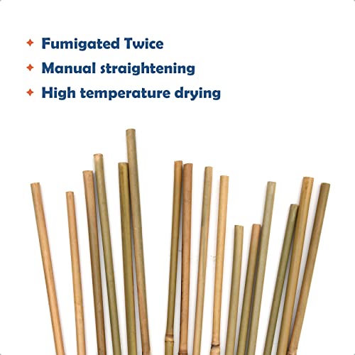 Image of COLOtime Bamboo Stakes 58 Inch (Approx 5FT) Garden Stakes Plant Stakes for Outdoor Climbing Plants Poles Sticks Support Tomatoes 20 Pack