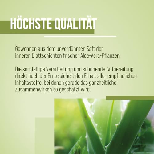 Sanct Bernhard Aloe Vera Drink (1L) Aus dem unverdünnten Aloe Vera Saft frischer Pflanzen | Trinkgel von der Barbadensis Miller Pflanze | Höchste Qualität | Naturprodukt | Made in Germany