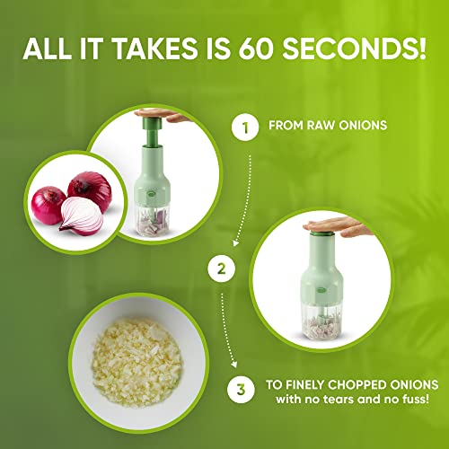 Brieftons Express Manual Food Chopper: 2-Cup, Hand Chopper Vegetable Cutter for Veggies, Fruits, Herbs, Garlic, Onion, Salsa, Salad, Pesto, Hummus, Guacamole, Coleslaw, Indian Cooking