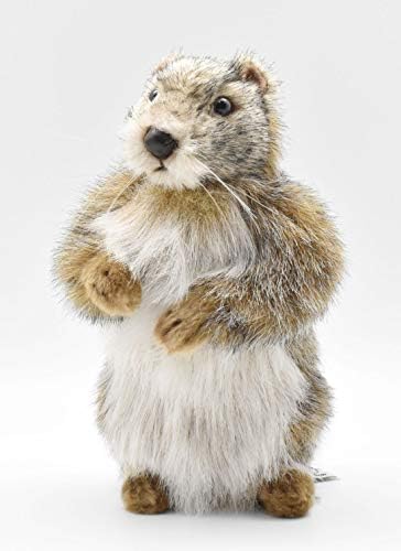 groundhog plush