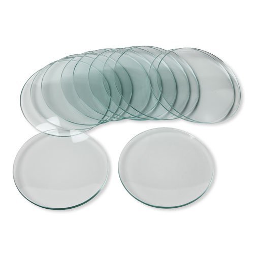 100mm Plain Watch Glass Beaker Cover, Labzee (Pack of 12) (B0C8ZCHSFM) Amazon Price History, Amazon Price Tracker