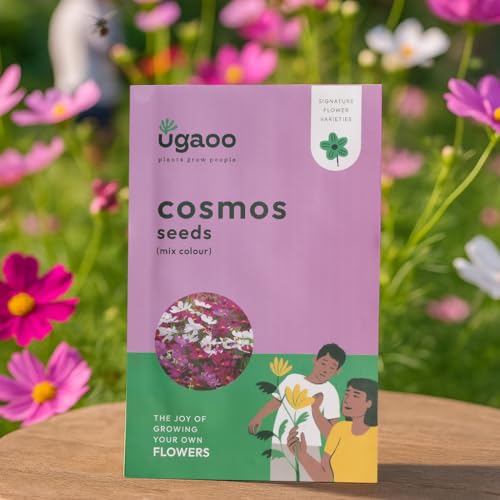 UGAOO Cosmos Flower Seeds (Purple and White, Pack of 100)