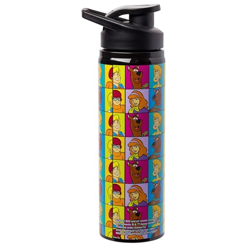 Image of Silver Buffalo Scooby-Doo Meddling Crew, Stainless Steel Water Bottle, 25oz | Kids, Fred, Velma, Shaggy and Daphne, 0.74 Liters