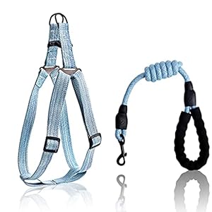 Dog-Harness-with-Handle-Easy-Walking-No-Pull-Step-in-Puppy-Harnesses-and-Leash-Set-Adjustable-Buckle-Heavy-Duty-Pet-Halter-Lead-Vest-for-Small-Medium-Dogs-Large-Breed-Outdoor-Training Easy Walking Dog Harness with Handle
