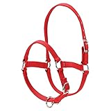 YIWENG Horse Head Bridle, Collar de Cabeza de Caballo Engrosado de 6MM, collarín de Cabeza con Brida de Seguridad Ajustable