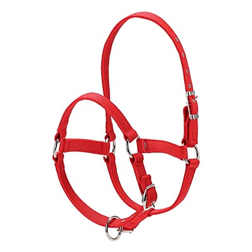 YIWENG Horse Head Bridle, Collar de Cabeza de Caballo Engrosado de 6MM, collarín de Cabeza con Brida de Seguridad Ajustable