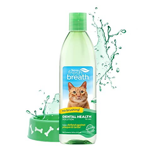 Top 10 Best Cat Dental Water Additive Reviews & Buying Guide Katynel
