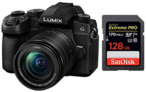 Image of Panasonic Lumix DC-FZ10002 with Leica Lens, 20.1 Megapixels 1 inch Sensor, 4K Recording, 16x Optical Zoom and Bluetooth + SanDisk 128GB Extreme Pro SDXC UHS-I Card - C10, U3, V30, 4K UHD, SD Card