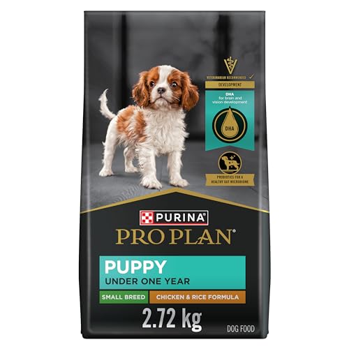 Purina Pro Plan Dry Dog Food, Focus, Puppy Small Breed Chicken & Rice Formula, 6-Pound Bag, Pack of 1