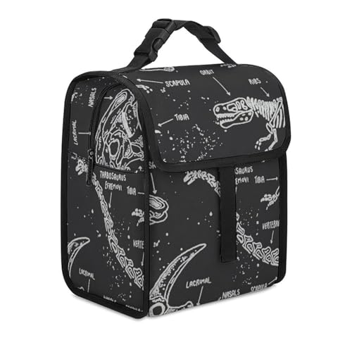 `obO ̉ ̍ ٓ `g[gobO sNjbNobO ۉobO A~ t@Xi[t ۉ ۗ h [ e 􂦂 y sNjbN Lv ^