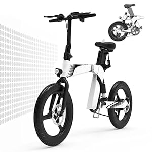 SHIZHUNIAO Elektrische fiets, inklapbaar, 20 inch, elektrische mountainbike voor volwassenen met 36 V, afneembare…