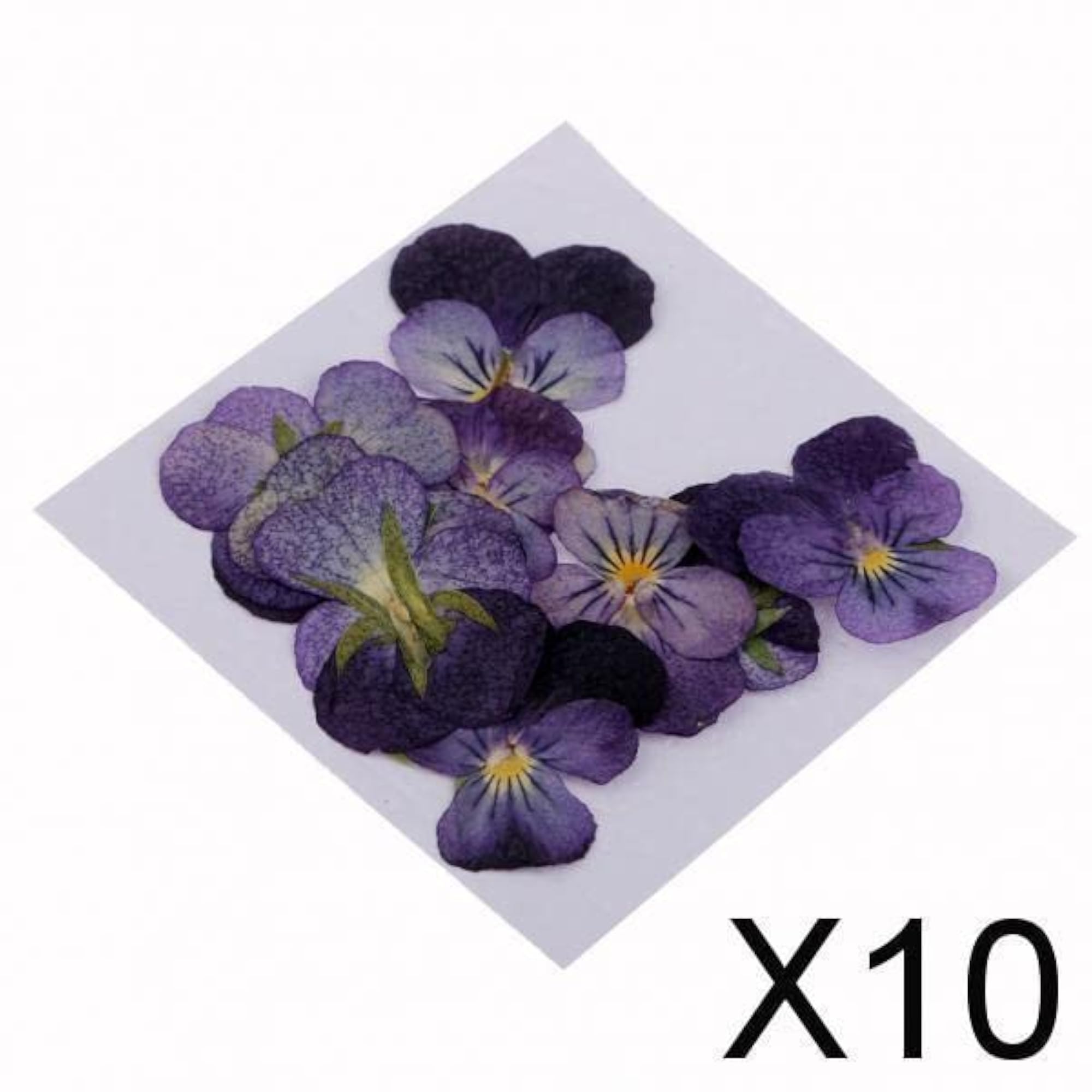 10X10 Pcs Dried Pressed Flowers for DIY Crafts