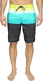 Speedo Men's Surging Stripe E-Board Shorts Workout & Swim Trunks