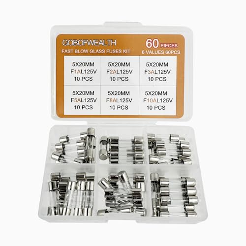 GOBOFWEALTH 125V Fast-Blow Glass Fuse Assortment Kit 5x20mm 0.2x0.78 inches 1A 2A 3A 5A 8A10A Ampere 6 Models 60PCS