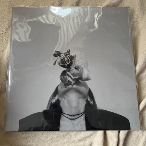 LP Arche/sublimated ���R�[�h�̓�����
