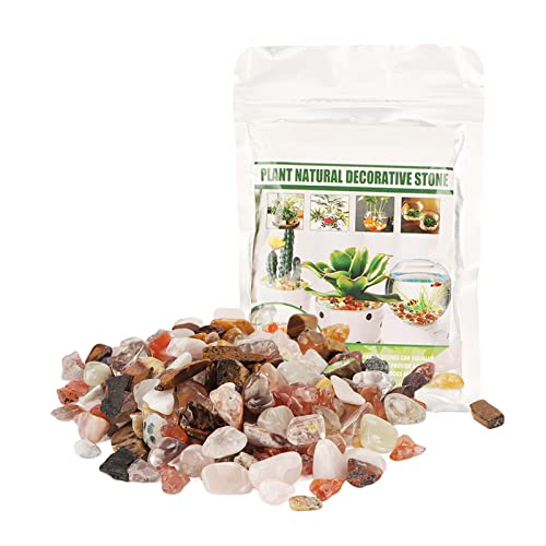 Galets pour Plantes d'intérieur, Roches décoratives, 100 g de Galets de Pierre décoratifs naturels, Roches polies décoratives pour Aquariums, Plantes en Pot, fontaines, Jardins