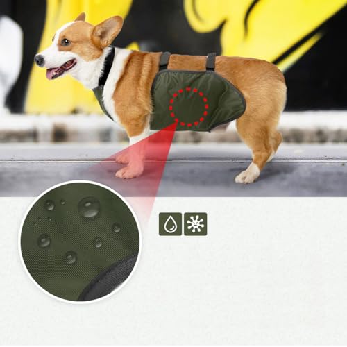 Hundeschürze, Bauchschutz, Wasserdicht, Hundelätzchen, Brustschutz, Haustier-Schutzweste für Weibliche und Männliche Hunde, Corgi, Dackel, Bulldogge, Welpe, Verhindert, Dass der Hund(XL-OD Grün)
