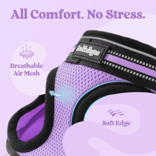 Image of rabbitgoo Cat Harness and Leash Set, Step-in Soft Vest, Light Purple | Escape Proof, Lightweight, Easy-on & Adjustable, Hook & Loop with Buckle, Reflective, for Small Cats Walks, XL