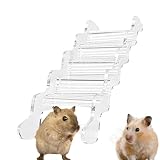Apparence transparente : regardez vos petits amis à fourrure grimper en toute simplicité. Le design transparent de notre échelle pour hamster, en acrylique épais, offre une vue dégagée à 360 degrés. Observez leurs activités adorables sans aucun angle mort.