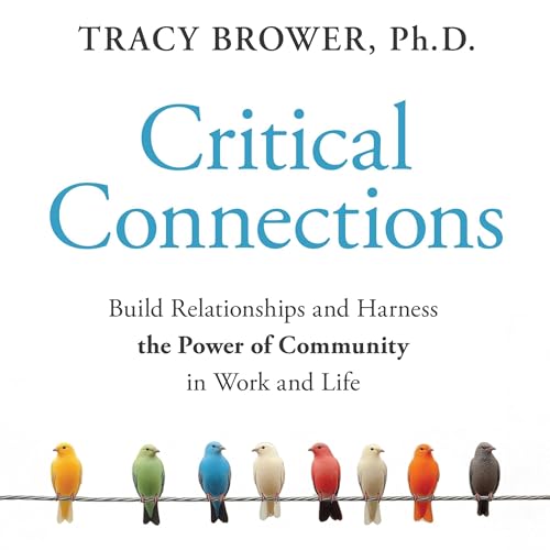 Page de couverture de Critical Connections