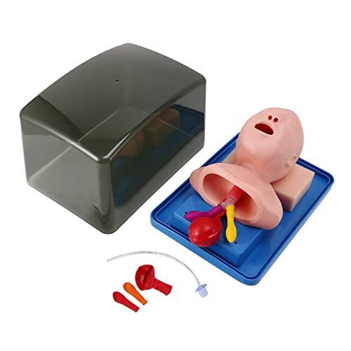 Doumneou Neonatal Tracheal Intubation Model Analog Double Lung and Stomach Expansion Child Tracheal Intubation Model