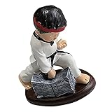Décor de karaté : fond est stable et plat, il peut donc placé bureau, la voiture ou gâteau de manière stable, souvenirs de taekwondo