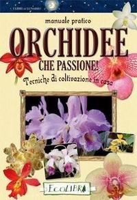 TECNICHE DI INGEGNERIA NATURALISTICA NEGLI INTERVENTI IDRAULICO-FORESTALE
