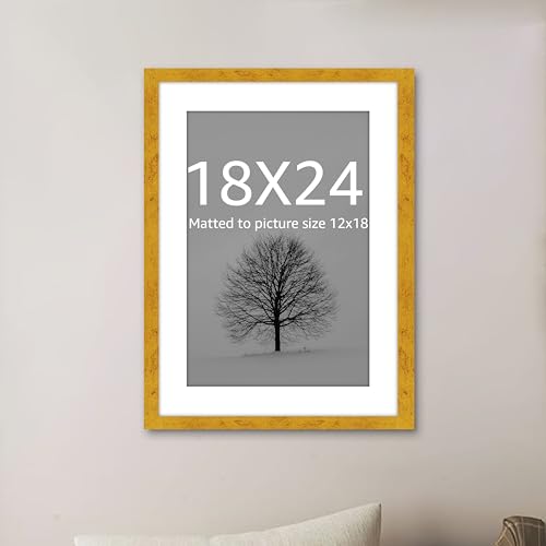Image of Art Street Synthetic Document Large Size Wall Photo Frame, Set of 1 Big Frames For Wall Artwork, Certificates, Picture & Photographs Home Decor (18x24 Inch, Matted To: 12x18 Inch, Gold)