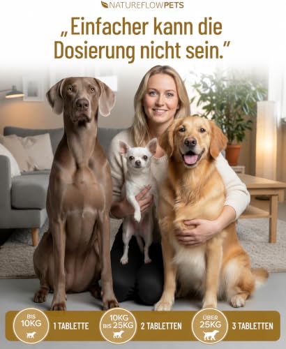 Natureflow Pets - Probiotika Hund - Darmkur bei Durchfall, Blähungen & Sodbrennen - Darmflora aufbauen & Magen-Darm stärken Präbiotika für Hunde - Magenschutz & Darmwohl mit Präbiotikum
