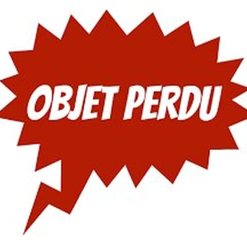 IL PERD SA VOITURE EN SE RENDANT AU C&Eacute;GEP