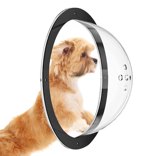 ptFX - ANh[AybgptFX |ptFX ̂ouEBhE Ct ph[tFX  DSȃybg𖞑Aʖiy܂