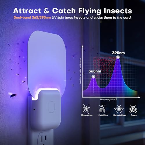 Image of Fruit Fly Traps for Indoors Cozlite: Upgraded Flying Insect Trap with 3 Refills - Bug Catcher for Gnat Mosquito Moths - Suitable for House Home Kitchen