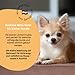 Hanf Minis für kleine Hunde, Snack für Hunde in Würfelform - Getreidefrei, bessere Konzentration, Naturprodukt aus Österreich - 3 x 90g (Huhn)