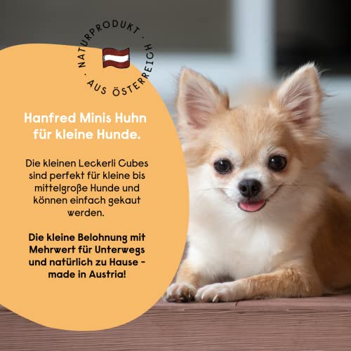 Hanf Minis für kleine Hunde, Snack für Hunde in Würfelform - Getreidefrei, bessere Konzentration, Naturprodukt aus Österreich - 3 x 90g (Huhn)