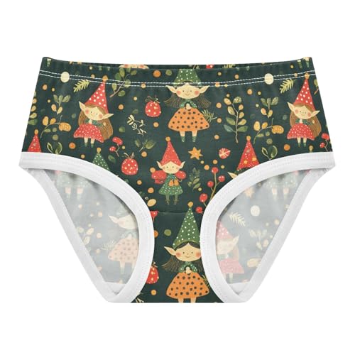 ZZKKO Forest Elves and Leaves Girls Underwear Toddler Panties for Girls Comfort Brief Size 8Y