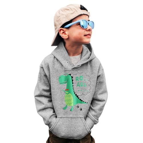 Boys' Long Sleeve Hooded Sweatshirt Boys Sweatshirts Crewneck Truck Shirt Dinosaur Long Sleeve (Grey, 5-6 Years)