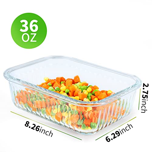 5 Pack Glass Meal Prep Containers with 24 Piece Food Storage Set - Airtight, BPA Free, Freezer, Oven, Microwave & Dishwasher Safe
