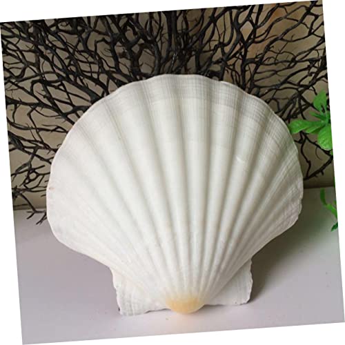 Manualidades, Toy plato del buen comer manualidades Marca CAXUSD (3)