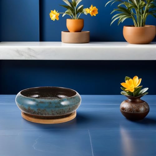 Bol hydroponique pot peu profond céramique bleu pour succulentes - 7