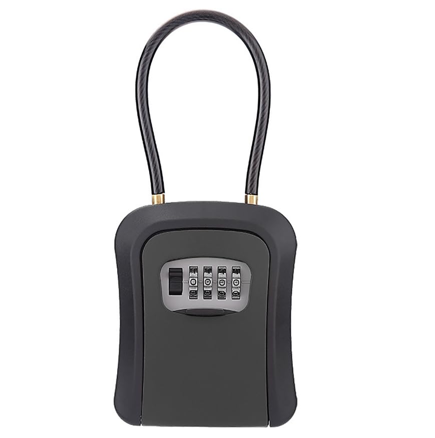 Coffre à clés portable avec serrure ionique C multicolore Schloasten pour clés protégées par mot de passe 8,6 x 6,5 x 3 cm - Noir - Sécurisez vos objets de valeur à tout moment