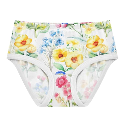 Joisal Cartoon Toddlers Underwear Floral 2t Cotton Panties for Girl Wildflowers Art Briefs Kids Undies
