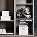 Rowenta Compact Power XXL RO4B30EA Imagen de Rowenta Compact Power XXL RO4B30EA