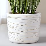 Gold Stripes Ceramic Pot Bundle - 12 Inch Large Planter and 6 Inch Medium Planter - Decorative Pebbles Included for The Small Flower Pot - Indoor or Outdoor Pots for Plants